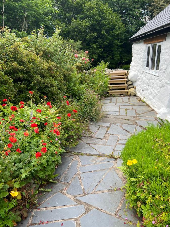 Beautiful Ancient Stone Cottage, Local Walks & Pub! Conwy Exterior foto
